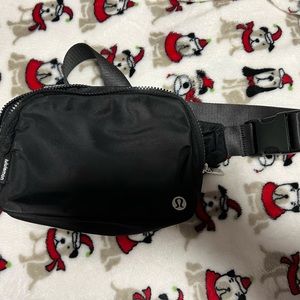 Everywhere Belt Bag Large (2L)